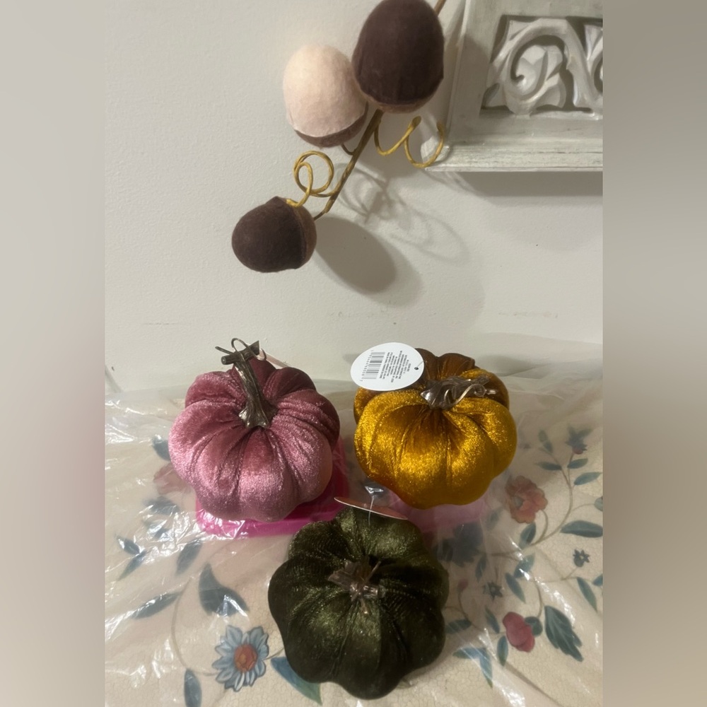 Pumpkin Decor - Picture 3 of 6